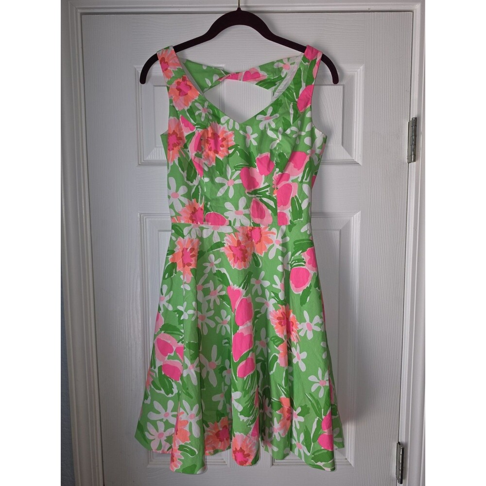 Lilly Pulitzer Freja Fit and Flare Dress Green Everything Nice Sz 0